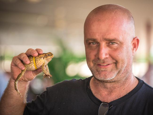 Berry Springs Tavern owner Ian Sloan with one of the toads that took part in the cane toad racing event. Picture: Glenn Campbell