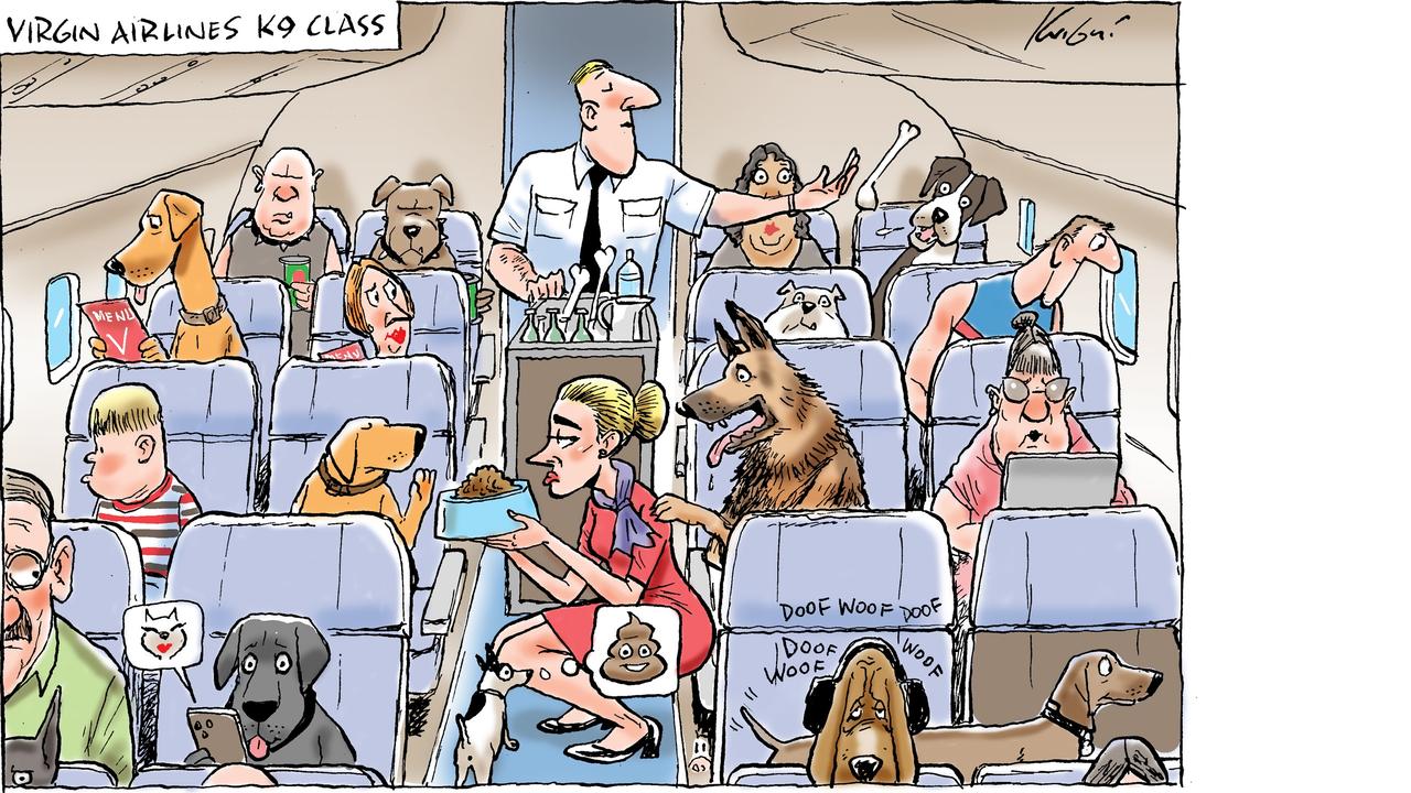 Mark Knight's K9 class cartoon puts an amusing spin on Virgin's announcement that pets will be allowed to travel in the cabin. Picture: Mark Knight