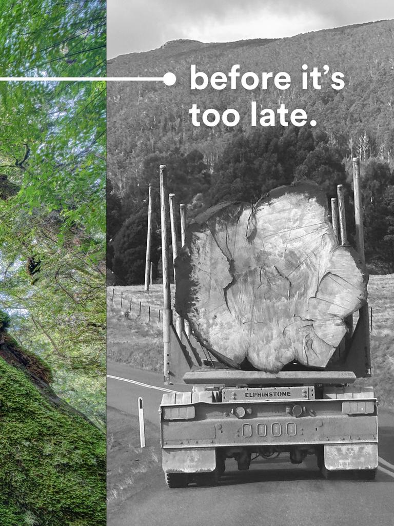 Mr DiCaprio posted a viral image of a giant tree being trucked in Tasmania. Picture: Facebook / Leonardo DiCaprio