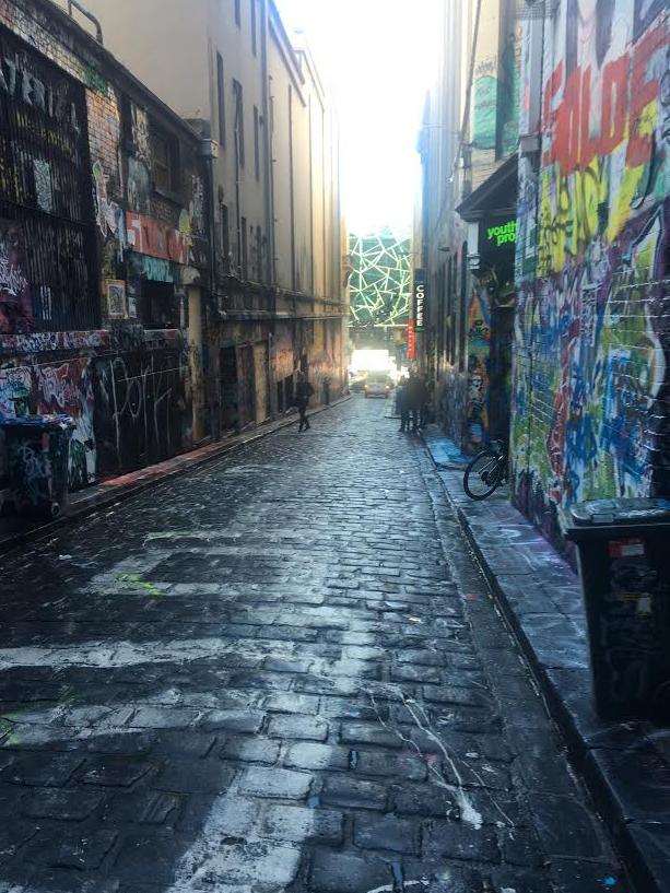 The laneway is now covered in street art. Picture: Supplied