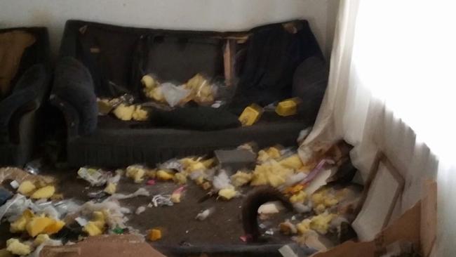 The sofa had been ripped apart and foam was scattered around the lounge. Picture: australscope