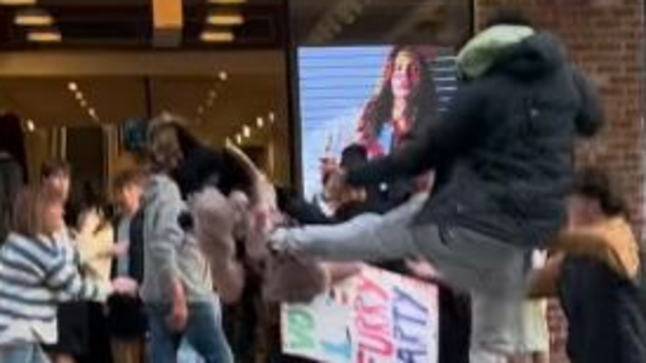 Man dressed as a ‘furry’ brutally attacked