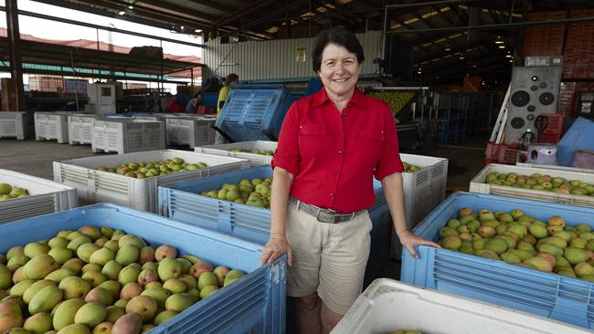 Marie Piccone from Manbulloo Mangos is the largest grower of Kensington Pride fruit in Australia.