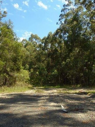 Track through the forest off Benaroon Drive.