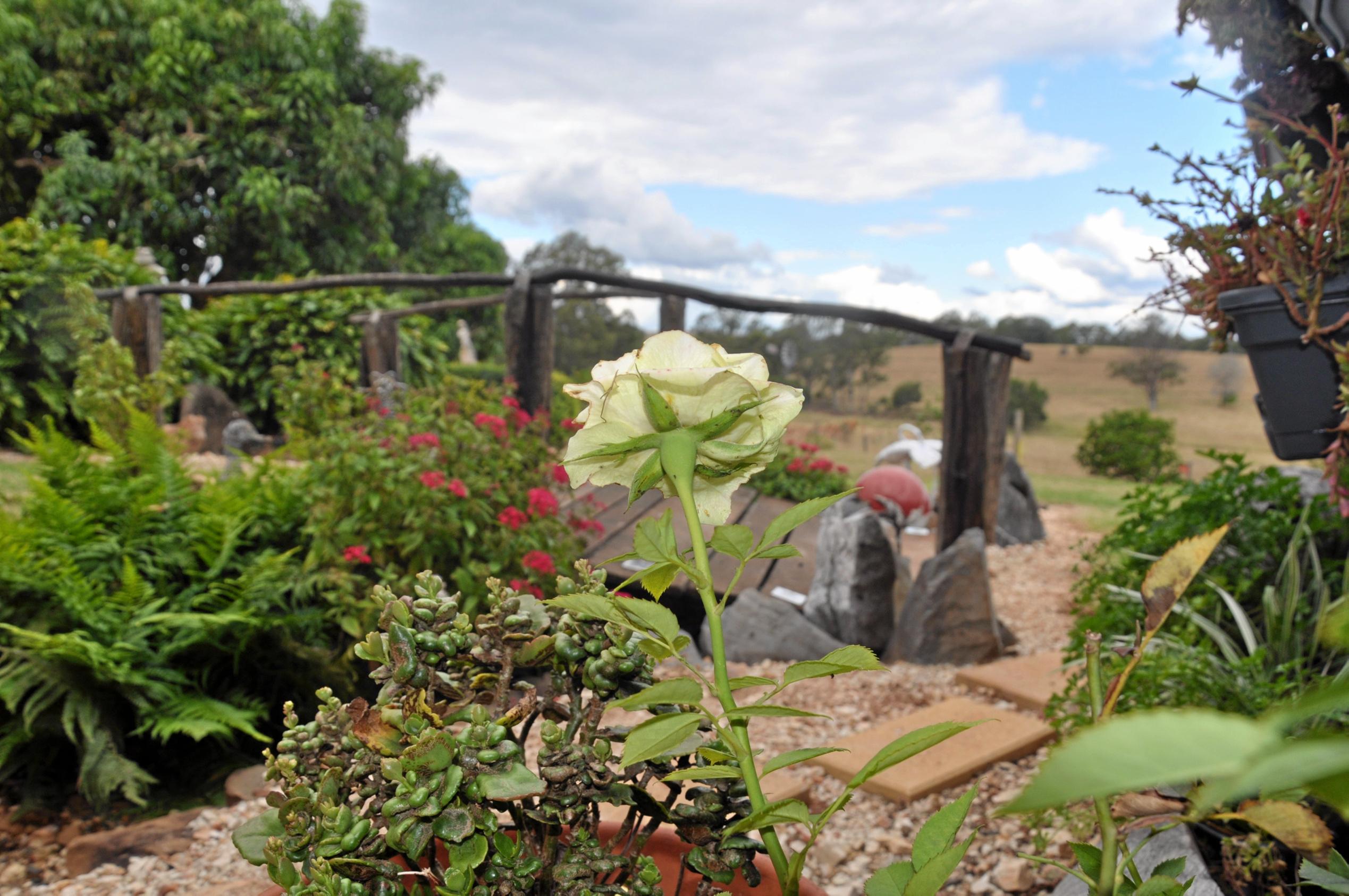 Monto Garden Club visits Roy and Bev Marbach's property. Picture: Mackenzie Colahan