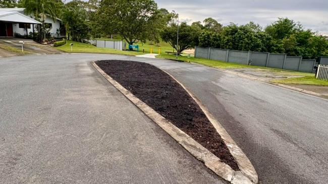 Photograph taken of plants being removed from 