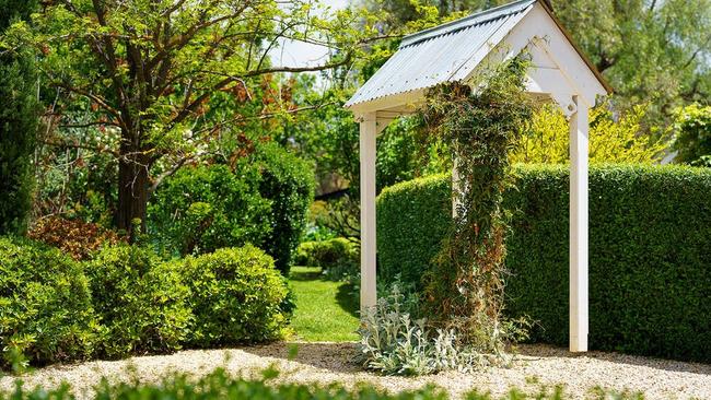 The garden is a serene retreat populated by many kinds of birds.