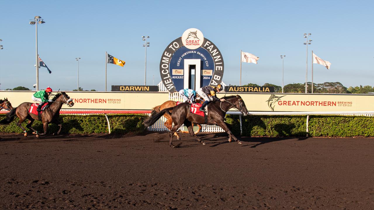 Number 11 - Hadouken winner of the 2024 Darwin Cup Carnival, Fannie Bay. Picture: Pema Tamang Pakhrin