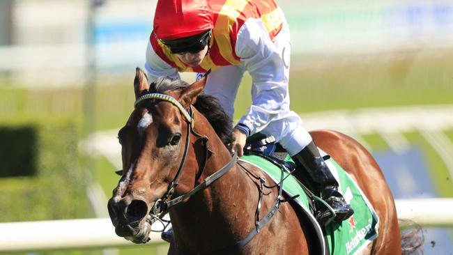 The Gerald Ryan and Sterling Alexiou-trained Peltzer is favourite for the $1 million Bondi Stakes at Royal Randwick on Saturday. Picture: Getty Images