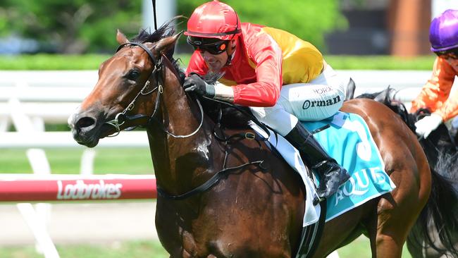 Barbie’s Sister returns to racing at Randwick on Saturday after a lengthy break. Picture: Natasha Wood/Trackside Photography