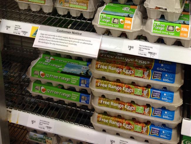 Egg shortage in shopping centres pic at Ascot Coles