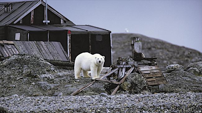 Svalbard in Norway. Picture: Ted Grambeau Photography. @tedgrambeau