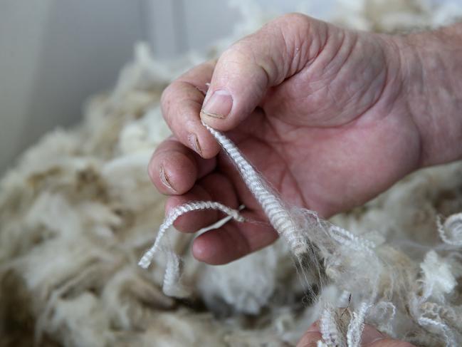 Wool Stores 15/8/18. Generic file photo wool wool store fleece, wool staplePicture: ANDY ROGERS