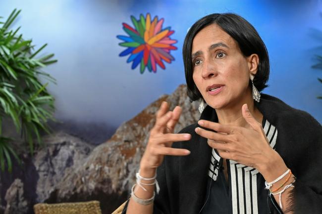 Colombia Environment Minister and  COP16 president Susana Mohamad says more money is needed for a biodiversity fund