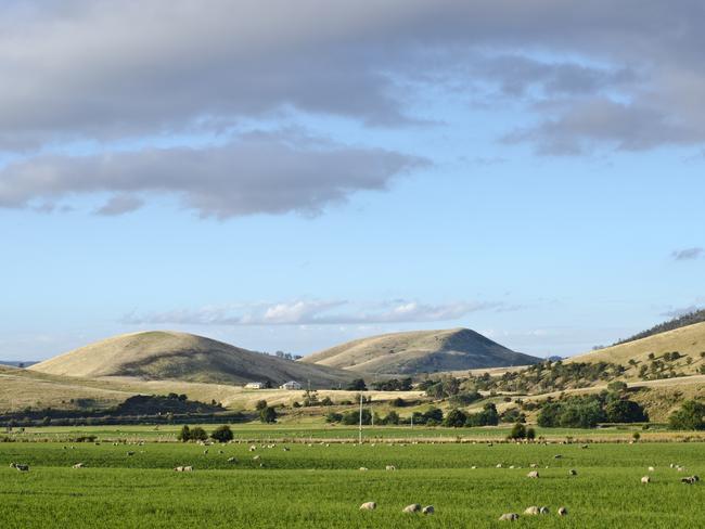 Farmland, Coal River Valley, Tasmania, Australia. Twenty minutes from Hobart, the Coal River region surrounding Richmond is an award winning farming and wine producing area with a similar latitude to the famous wine regions of France and Germany.