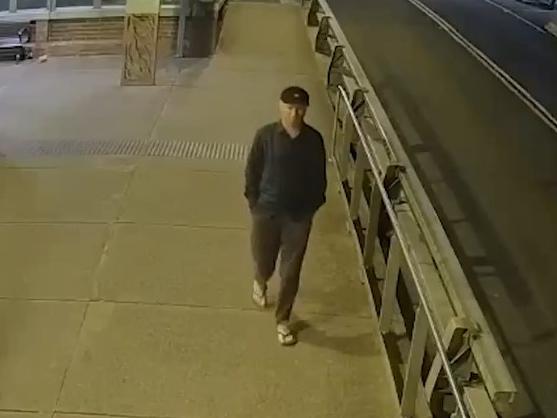 As inquiries continue, police have issued images of the man hit by the car as they appeal for any witnesses or anyone with information to come forward. Picture: NSW Police