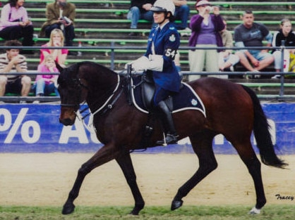 Chief being ridden by longtime handler, Acting Sergeant Belinda Worthington (Photo: Tracey Bavinton)