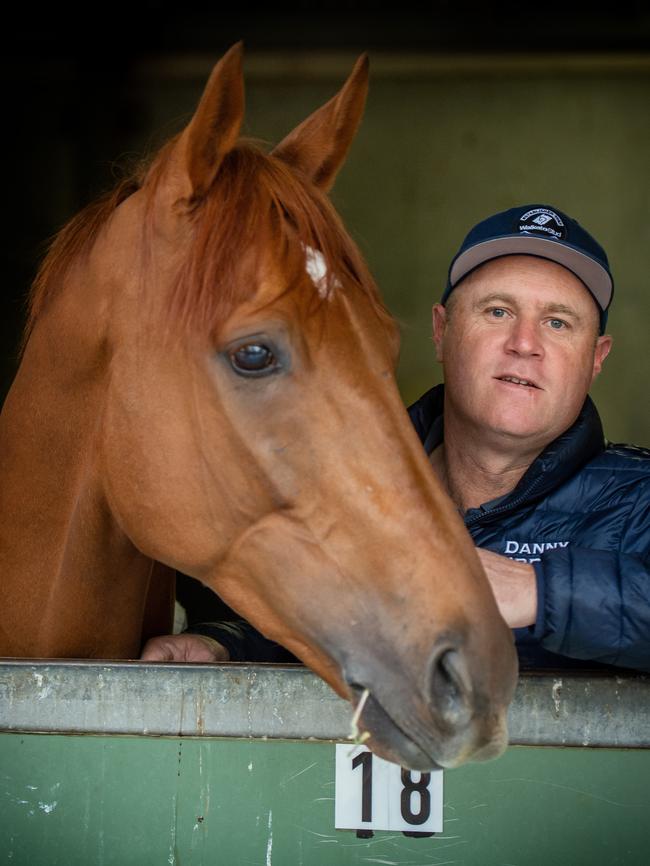 Danny O'Brien: Ban thoroughbreds from abattoirs.