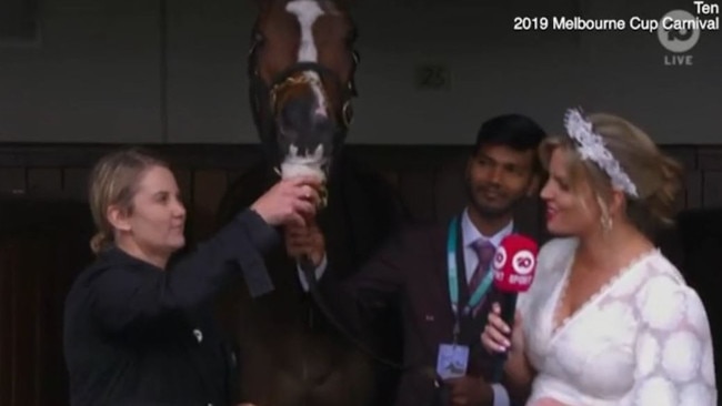 Trainer Wendy Roche feeds a cup of beer to Nettoyer