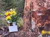 Driver dies in Adelaide Hills crash