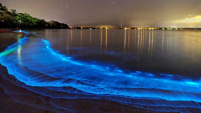 Bioluminescence at Barfleur Beach, Jervis Bay, NSW. Picture: Michael Samson.