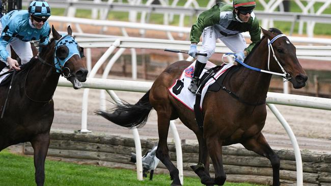 Incentivise wins the Makybe Diva Stakes at Flemington in his first start out of Queensland. Picture: Vince Caligiuri – Getty Images