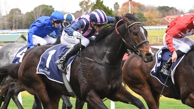 Big Swinger gets himself out of trouble to win at Caulfield on Saturday. Picture: Racing Photos via Getty Images