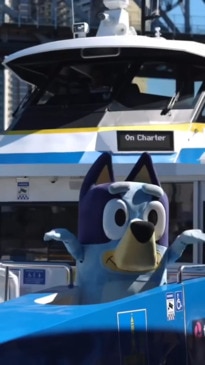 What to expect from Bluey's World