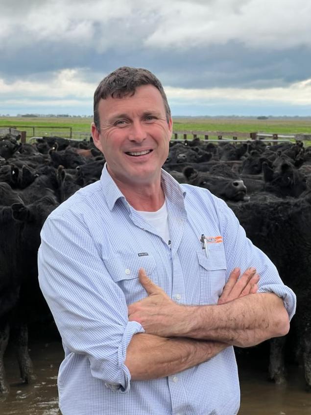 Adam Bradley on the job with a herd of cattle.