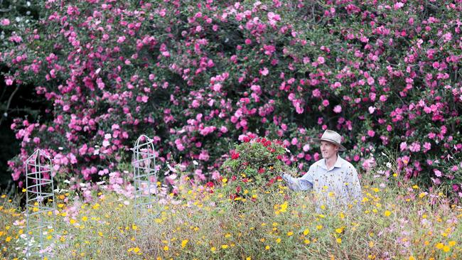 Even in mid autumn the garden is awash with flowering plants. Property Manager Jim Lutwyche pictured at the Kulnura property. Picture: Sue Graham