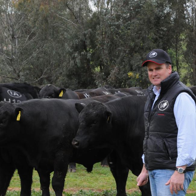 Corey Ireland at his former Ireland’s Angus stud.