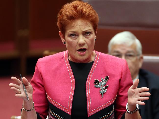 Pauline Hanson’s resurgent One Nation party is preparing to run candidates for the upper and lower houses of State Parliament.