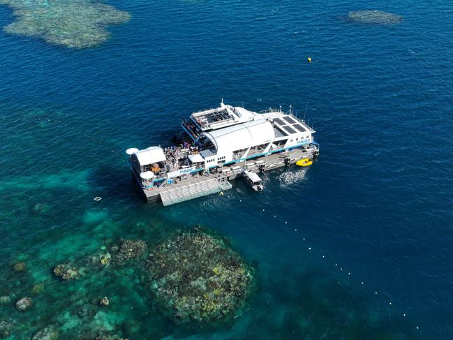 Brisbane pop band Sheppard performs at Moore Reef on the Reef Magic pontoon, marking the first-ever concert on the northern Great Barrier Reef as part of Savannah Sounds on the Reef. Picture: Brendan Radke