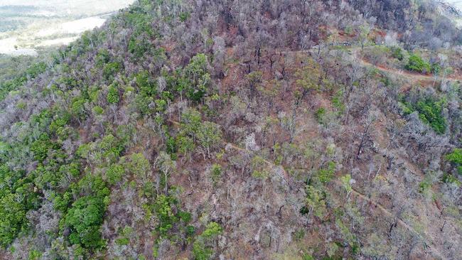 Fire damage on Mt Etna. Picture: Allan Reinikka ROK210119amtetna1