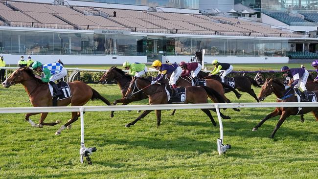 Pondus (blue and white) ran fifth in The Bart Cummings behind Grand Promenade. Picture: Racing Photos via Getty Images