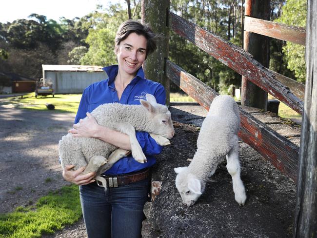 Southern Highlands sheep dairy farmer and artisan cheesemaker Cressida Cains is helping others in the dairy industry to operate under their own labels. Picture: Richard Dobson