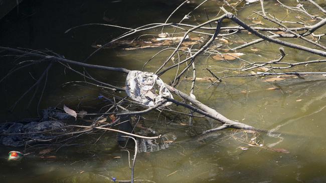 Plastic bags and waste are all too common to see floating along Cooks River. Picture: Melvyn Knipe