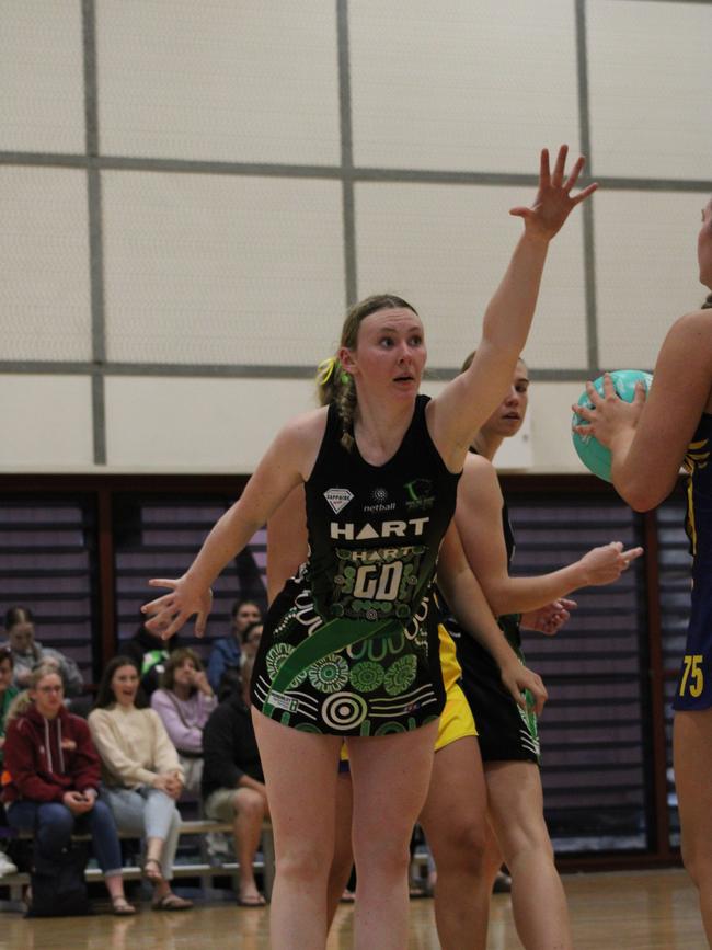 HART Sapphire Series round 1 2024 (Ruby) Darling Downs Panthers v Bond University Bull Sharks Netball