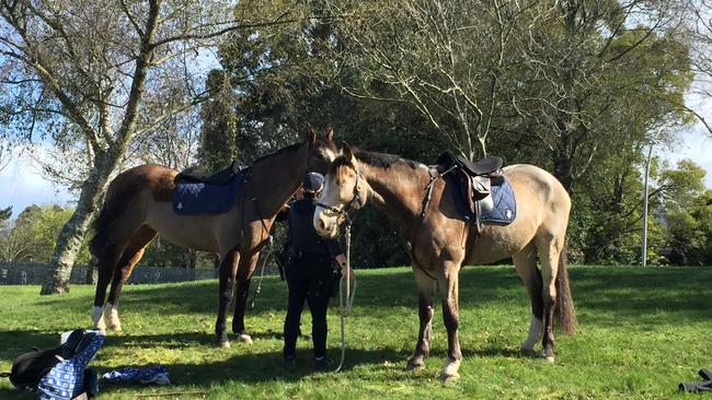 The mounted branch has joined the search for the missing couple. Picture: Tamsin Rose