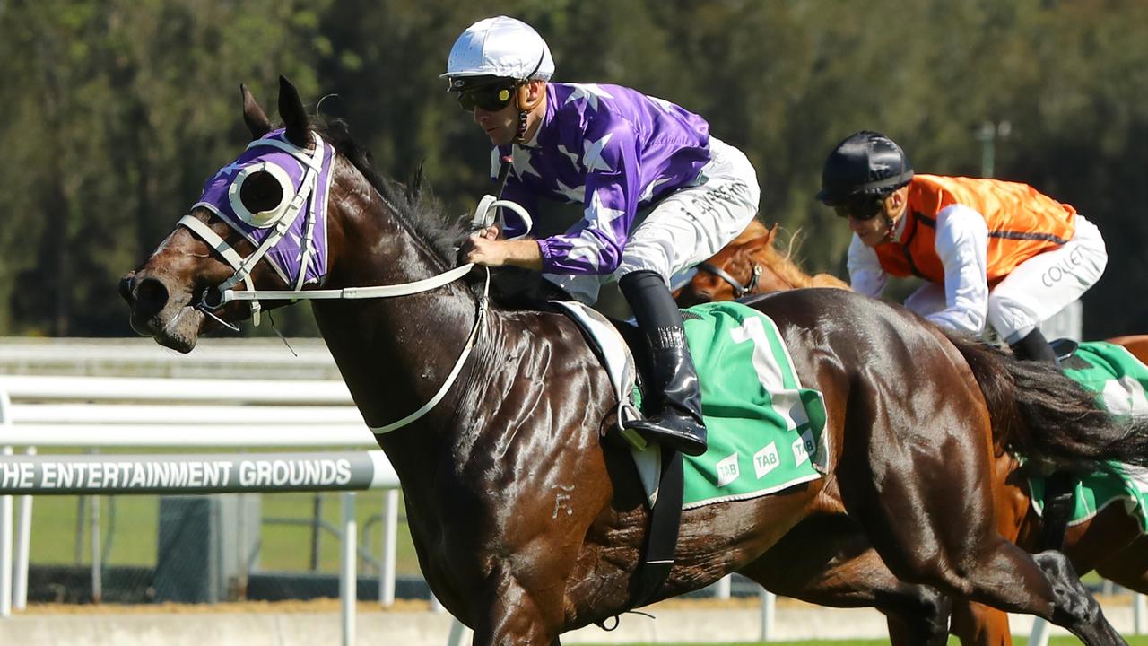 Expert tips: Magic Millions Classic and Magic Millions Guineas | The ...