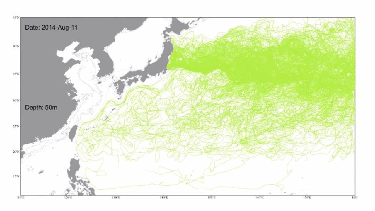 Simulated trajectory of particles released in the years after the Fukushima nuclear disaster. Picture: Professor Chau-Ron Wu