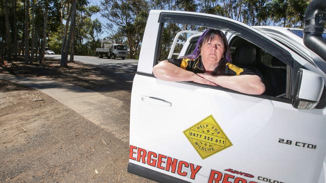 Help for Wildlife founder and rescuer Sue Kirwan said her team of volunteers is preparing to treat hundreds of animals burnt by a grass fire at Plenty Gorge Parklands. Picture: Andrew Tauber