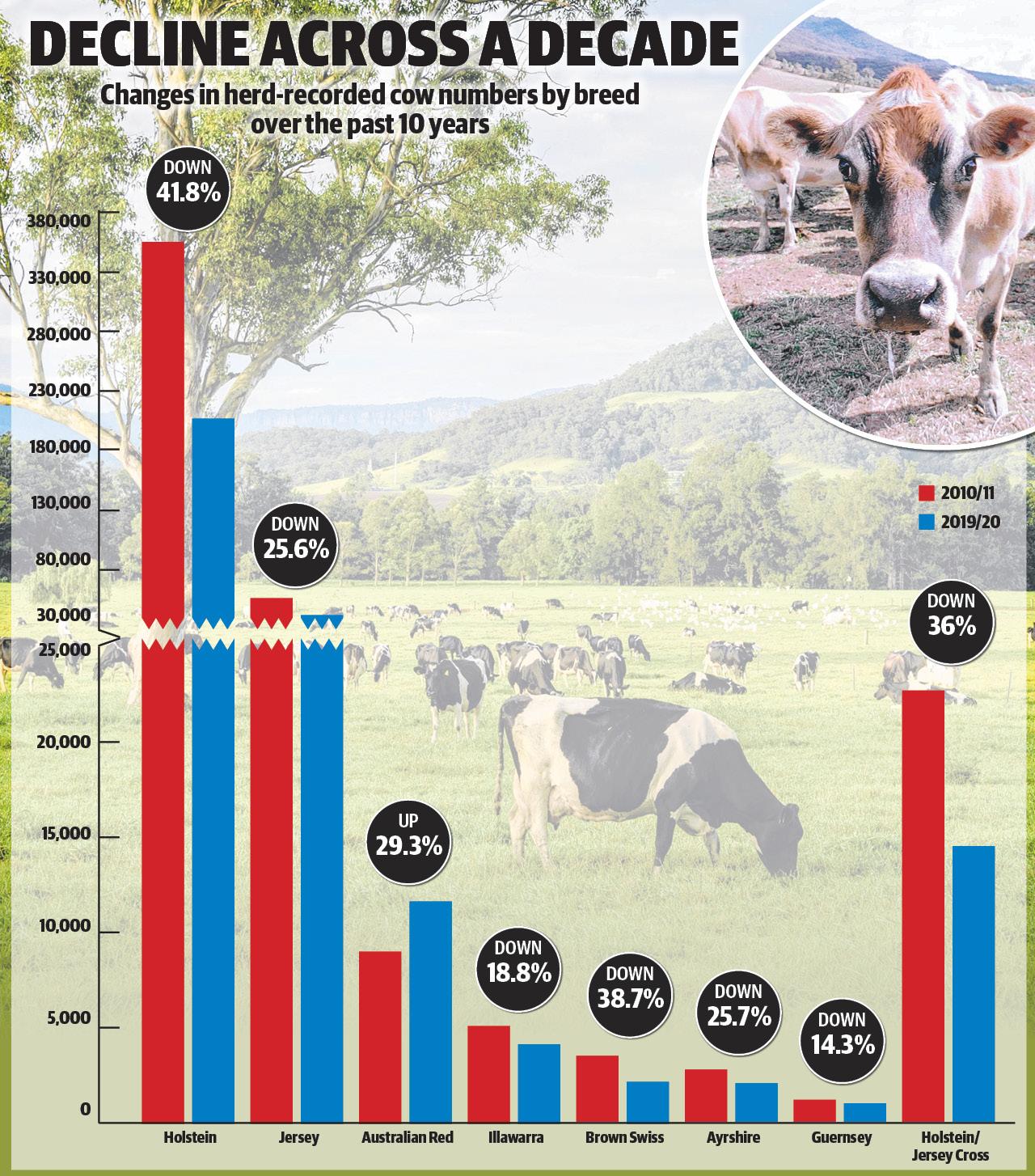 DataGene National Herd Recording Statistics reveal cow number