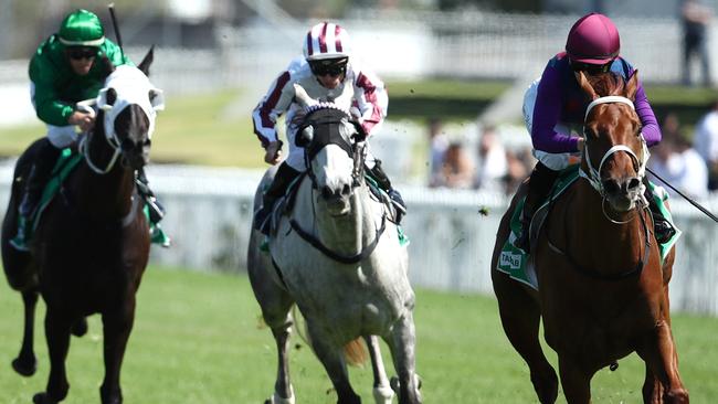 Marsabit (right) is chasing success in Friday’s Orange Gold Cup. Picture: Getty Images