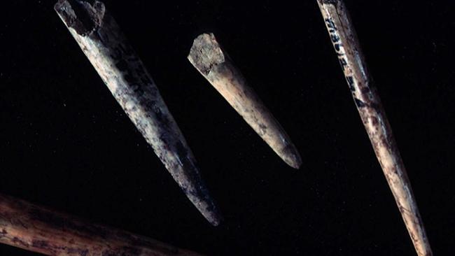 Bone points made from wallaby fibula from Warreen and Bone caves in Tasmania. These were returned to the Tasmanian Aboriginal Lands Council in 1996. Picture: Richard Cosgrove