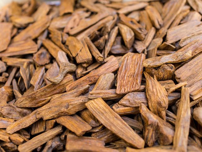 He uses a rare Australian agarwood in the brand’s popular Silky Woods which retails for over $100k a kilo. Picture: iStock