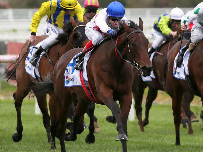 Propelle just needs some luck from her draw to figure in finish.