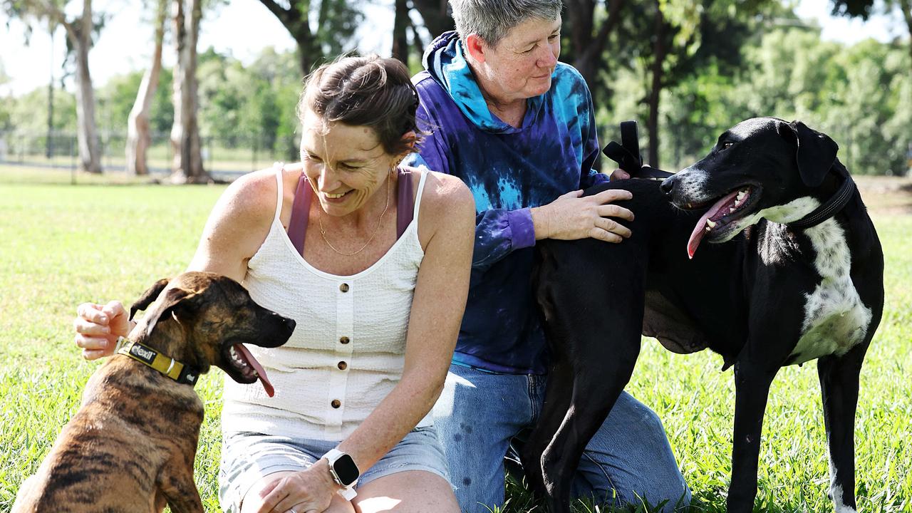 Inside the Cape’s animal ‘crisis’ and how you can help