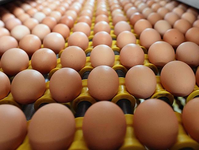 (FILES) In this file photo taken on March 30, 2018 eggs are seen on a production line in La Bazoge, northwestern France. - A Belgian businessman was sentenced on June 4, 2021 by the court of Antwerp to three years in prison, two of them suspended, in the case of eggs contaminated with banned insecticide fipronil in 2017. (Photo by JEAN-FRANCOIS MONIER / AFP)