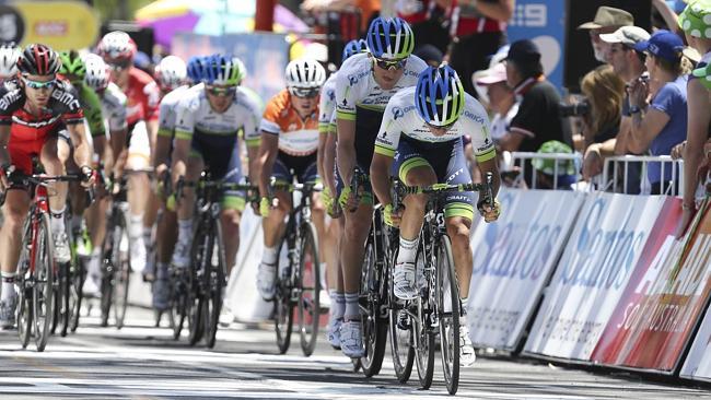 Orica-GreenEDGE leads the peloton during Stage 6 of the 2014 Tour Down Under. Picture: AFP